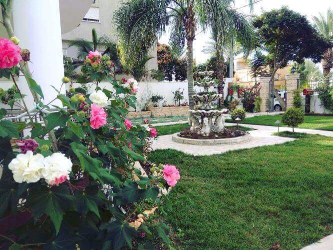 עיצוב גינות